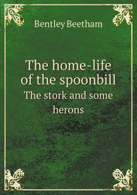 The home-life of the spoonbill. The stork and some herons