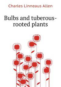 Bulbs and tuberous-rooted plants