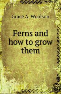 Ferns and how to grow them