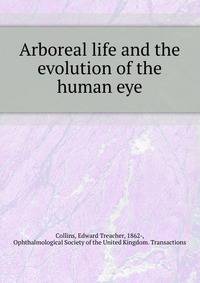 Arboreal life and the evolution of the human eye