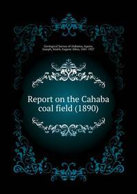 Report on the Cahaba coal field (1890)