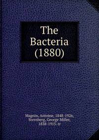 The Bacteria (1880)