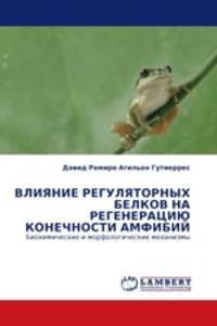 ВЛИЯНИЕ РЕГУЛЯТОРНЫХ БЕЛКОВ НА РЕГЕНЕРАЦИЮ КОНЕЧНОСТИ АМФИБИЙ. Биохимические и морфологические механизмы