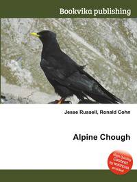 Alpine Chough