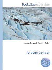 Andean Condor