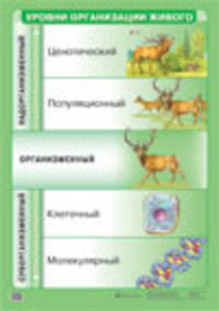 Уровни организации живого. Плакат