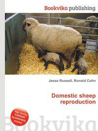 Domestic sheep reproduction