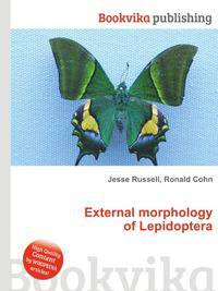 External morphology of Lepidoptera