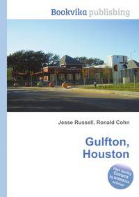 Gulfton, Houston