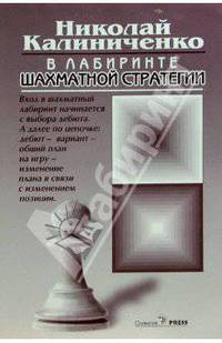В лабиринте шахматной стратегии