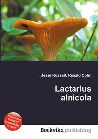 Lactarius alnicola