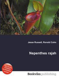 Nepenthes rajah