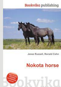 Nokota horse