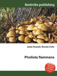 Pholiota flammans