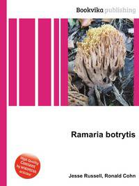 Ramaria botrytis