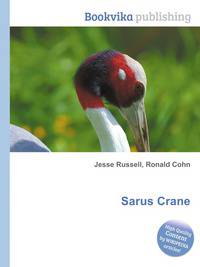 Sarus Crane