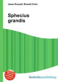 Sphecius grandis