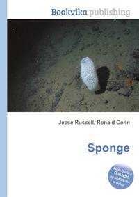 Sponge