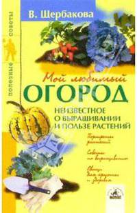 Мой любимый огород