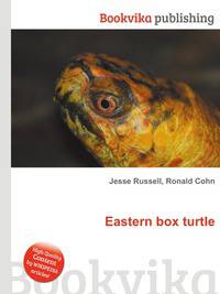 Eastern box turtle