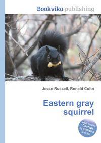 Eastern gray squirrel