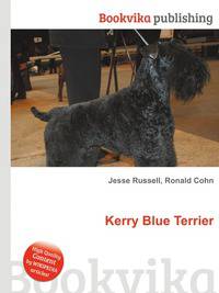 Kerry Blue Terrier