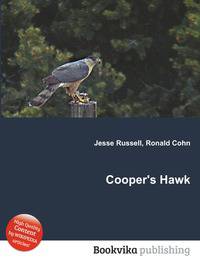 Cooper's Hawk