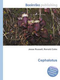 Cephalotus