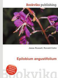 Epilobium angustifolium