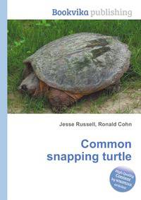 Common snapping turtle