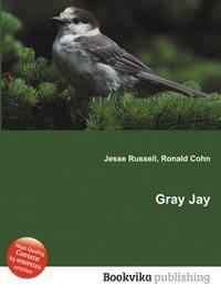 Gray Jay