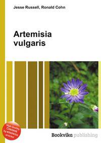 Artemisia vulgaris