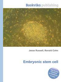 Embryonic stem cell
