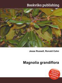 Magnolia grandiflora