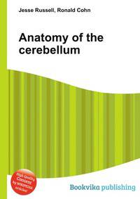 Anatomy of the cerebellum