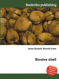 Bivalve shell