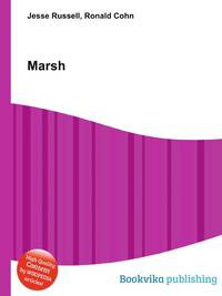 Marsh