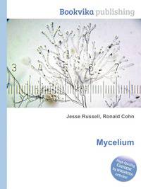 Mycelium