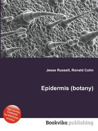 Epidermis (botany)