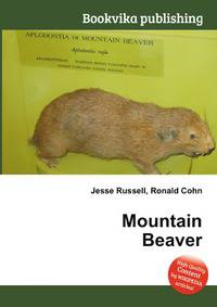 Mountain Beaver