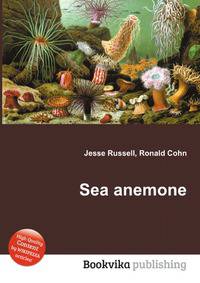 Sea anemone