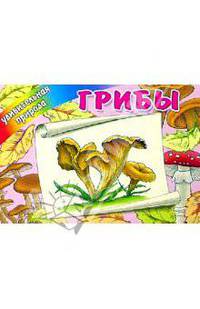 Грибы