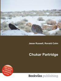 Chukar Partridge