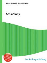 Ant colony