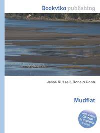 Mudflat