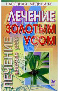 Лечение золотым усом