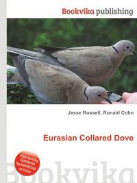 Eurasian Collared Dove