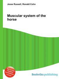 Muscular system of the horse