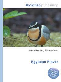 Egyptian Plover