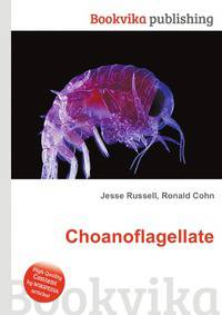 Choanoflagellate